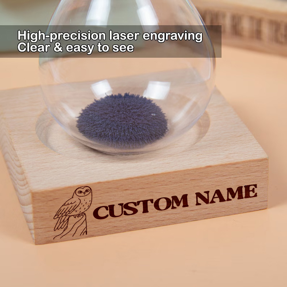 1pc Funny bird Custom Name Per - Outdoor Furniture Wooden 리뷰 및 가격