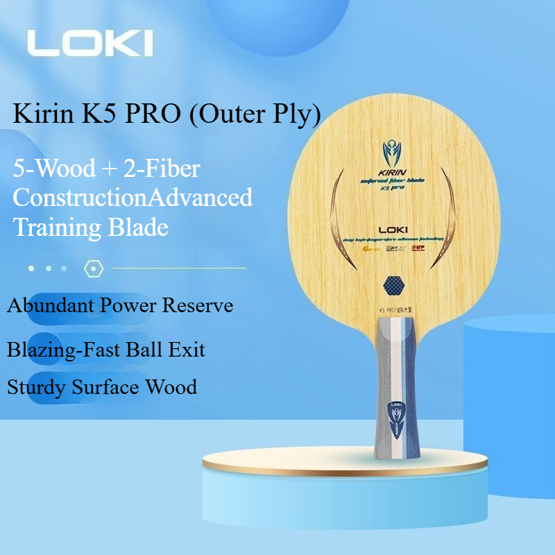LOKI Kirin K5 PRO Table Tennis - Outdoor Furniture Wooden 리뷰 및 가격